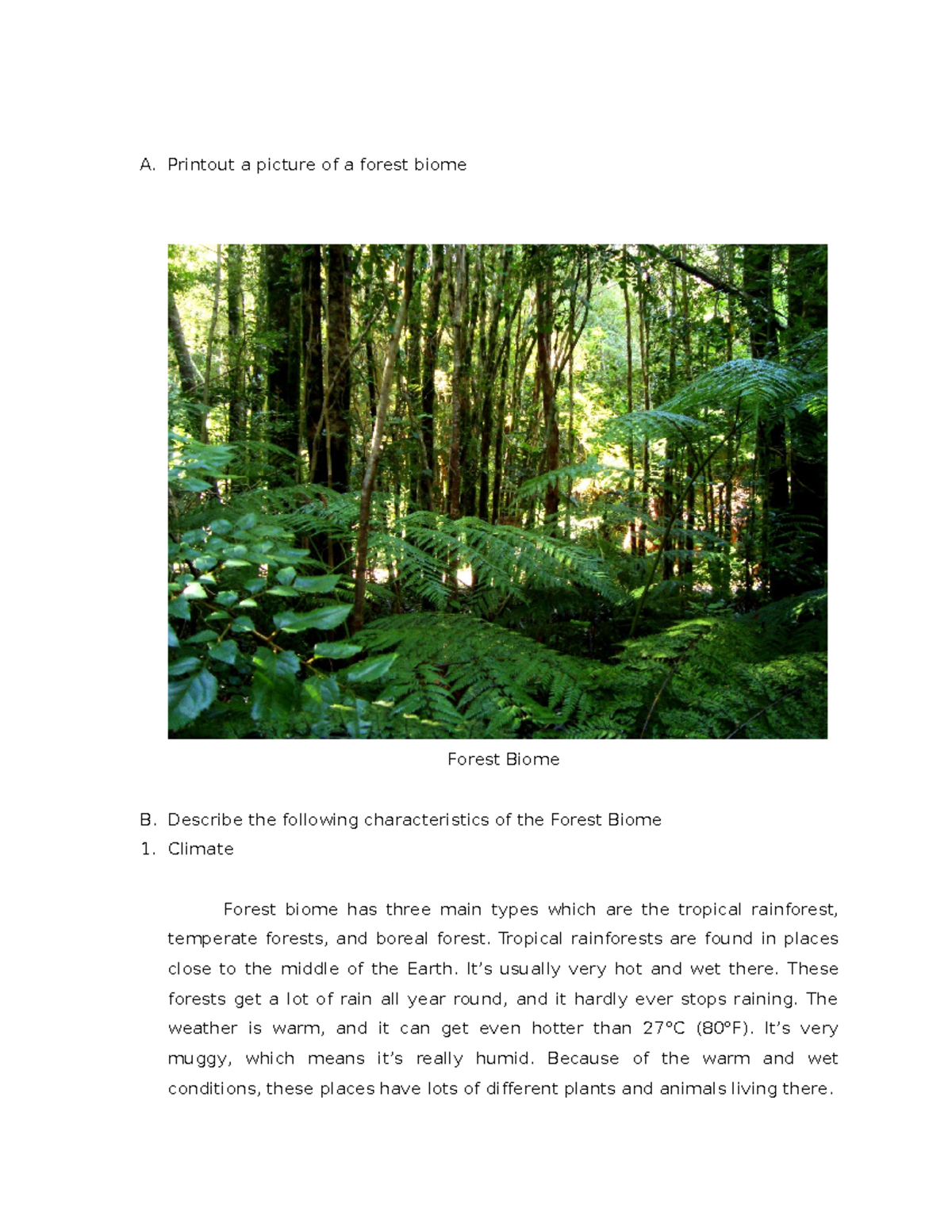 Midterm Project (Biomes) - A. Printout A Picture Of A Forest Biome ...