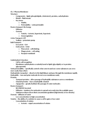 Chapter 10 - notes - Photosynthesis: converts sunlight solar energy ...