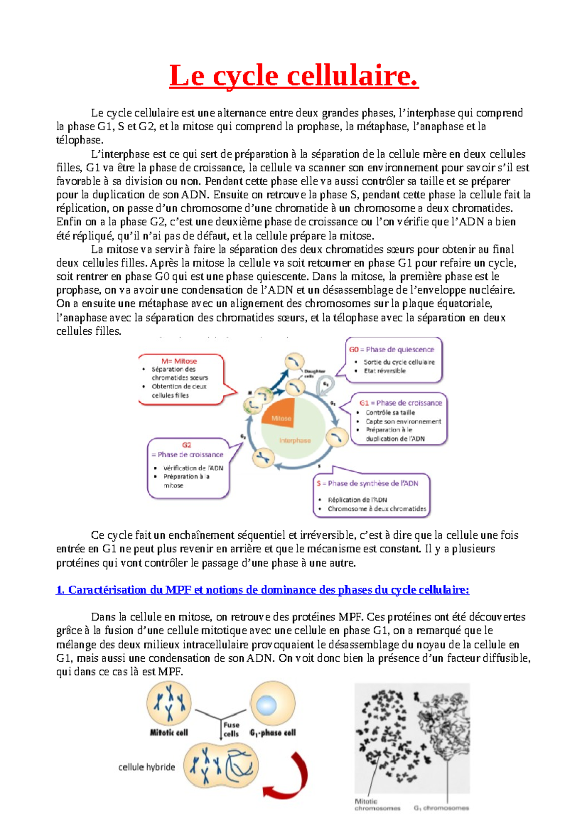 Chap 5 Le Cycle Cellulaire - Le Cycle Cellulaire. Le Cycle Cellulaire ...