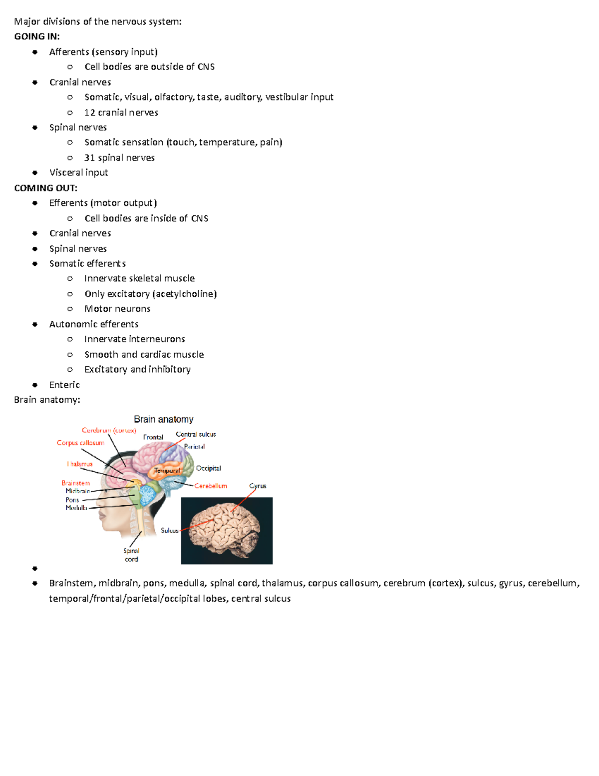 CNS sensory notes - Major divisions of the nervous system: GOING IN ...