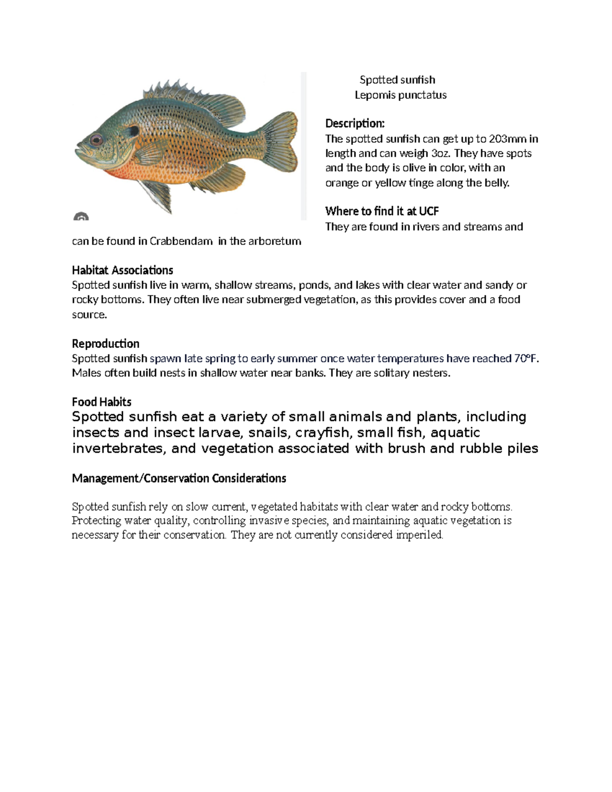 Spotted sunfish - PAE 3 - Spotted sunfish Lepomis punctatus Description ...