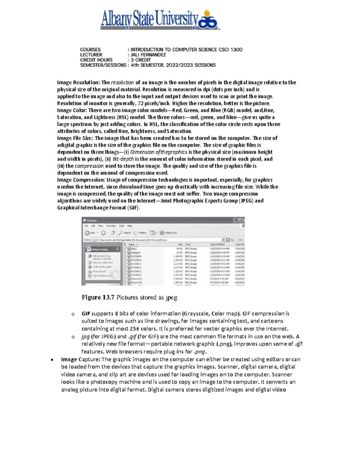 Computerfu notes-20 - Notes - Figure 13 Pictures stored as jpeg o GIF ...