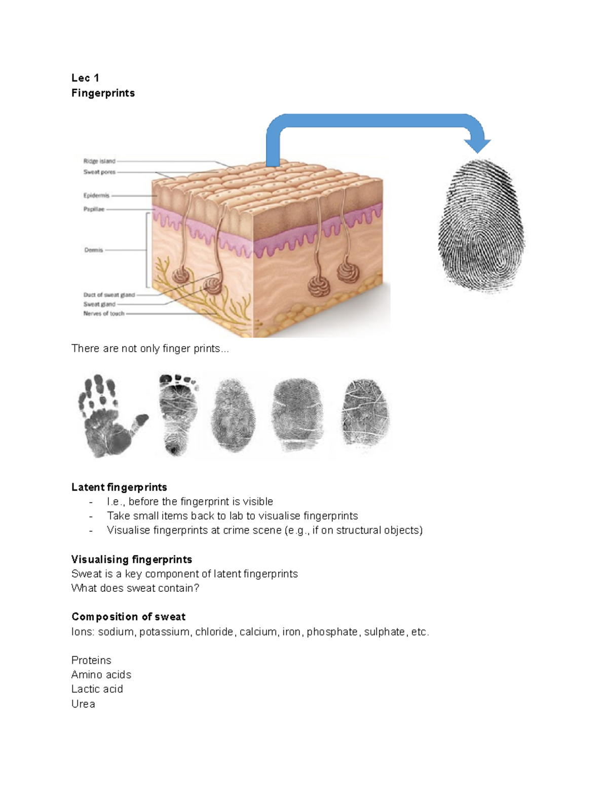 Forensic Science Week 6 Fingerprints - Lec 1 Fingerprints There are not ...