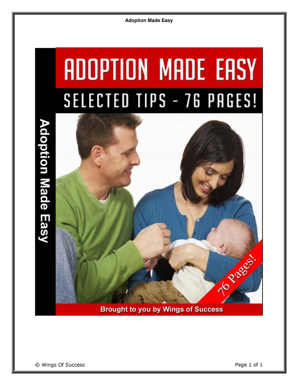 Adoption Made Easy DISCLAIMER AND TERMS OF USE AGREEMENT (Please