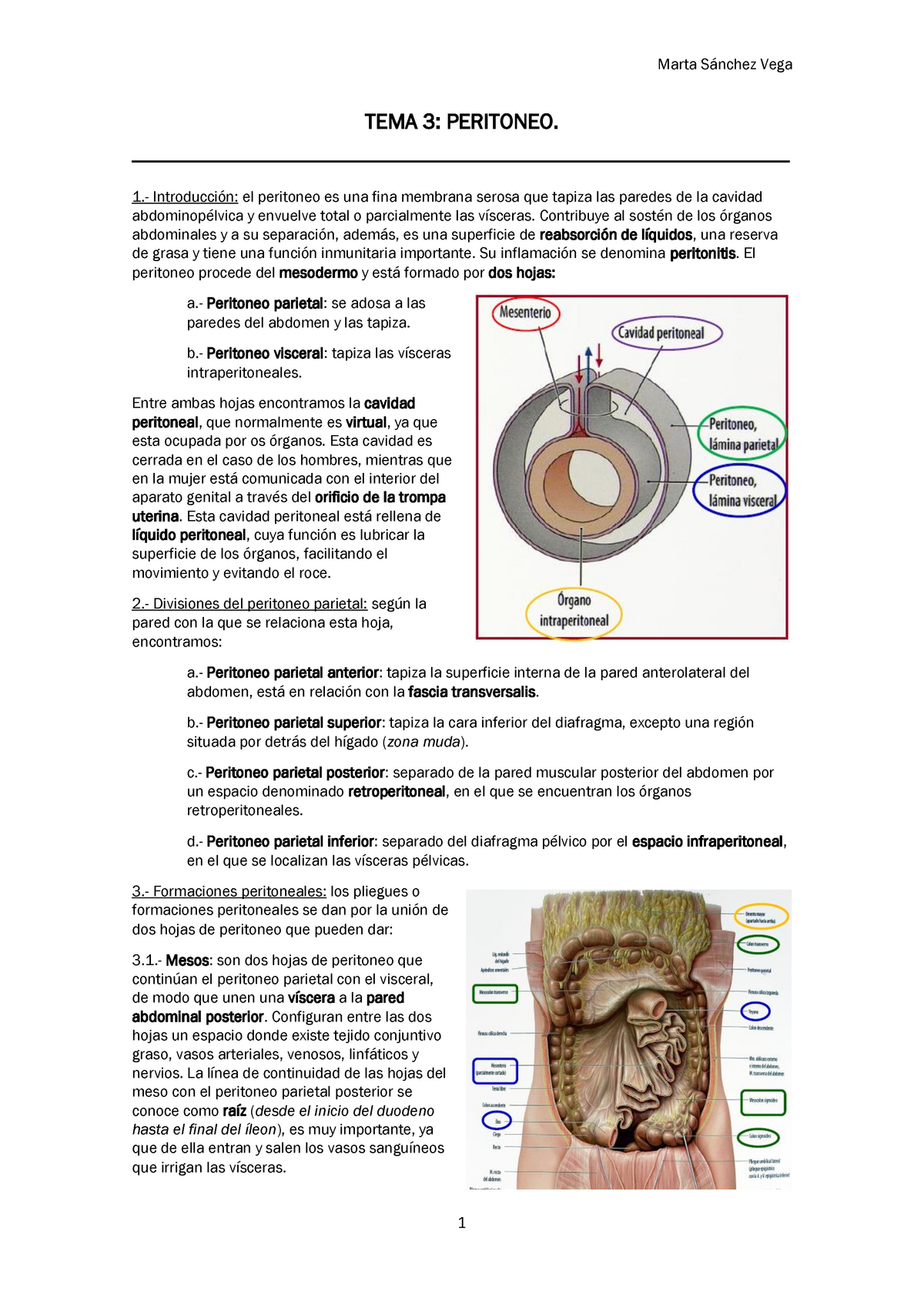 peritoneo visceral vs peritoneo parietal