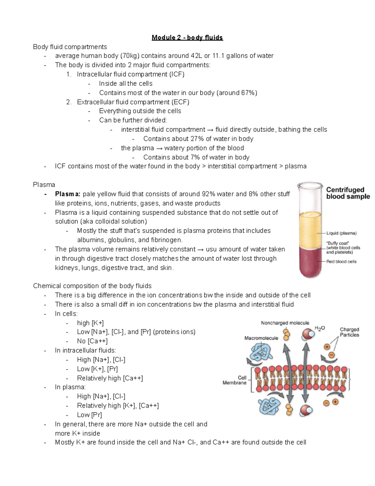 Module 2 body fluids Module 2 body fluids Body fluid compartments