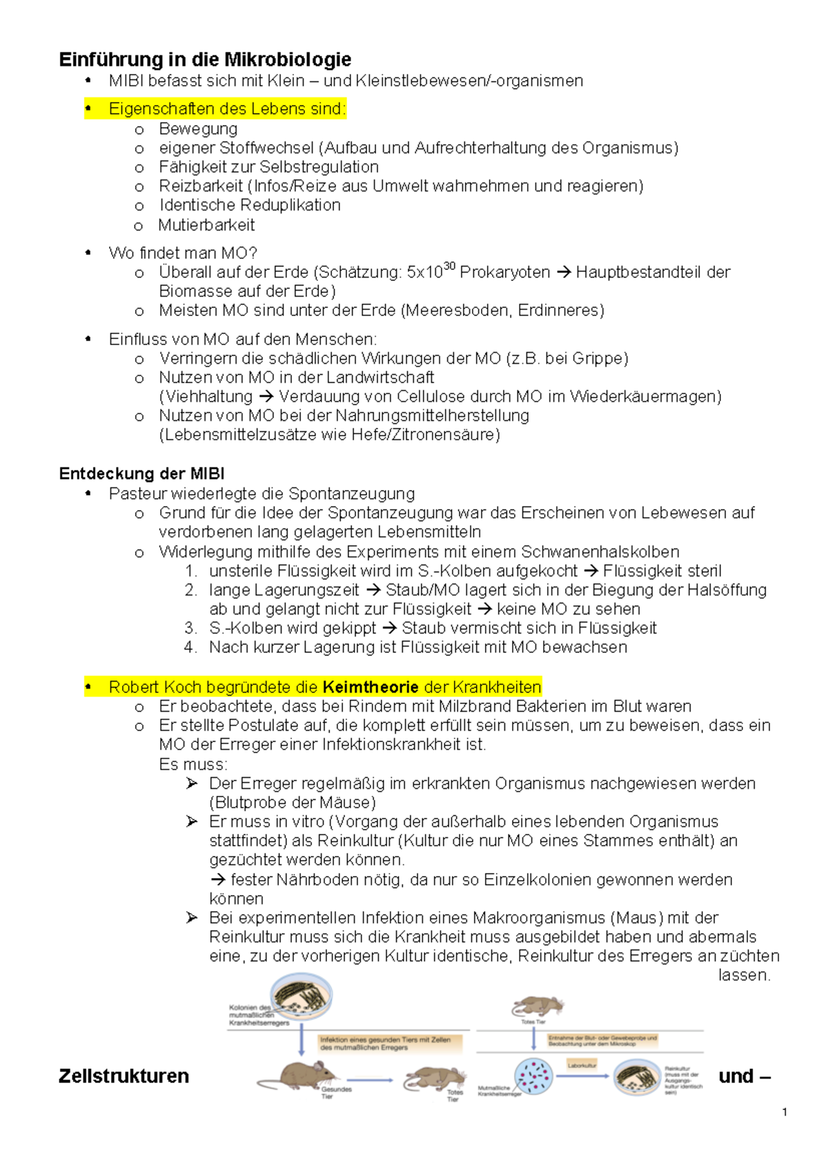 Zusammenfassung Mikrobiologie Sophie - Einführung in die Mikrobiologie ...