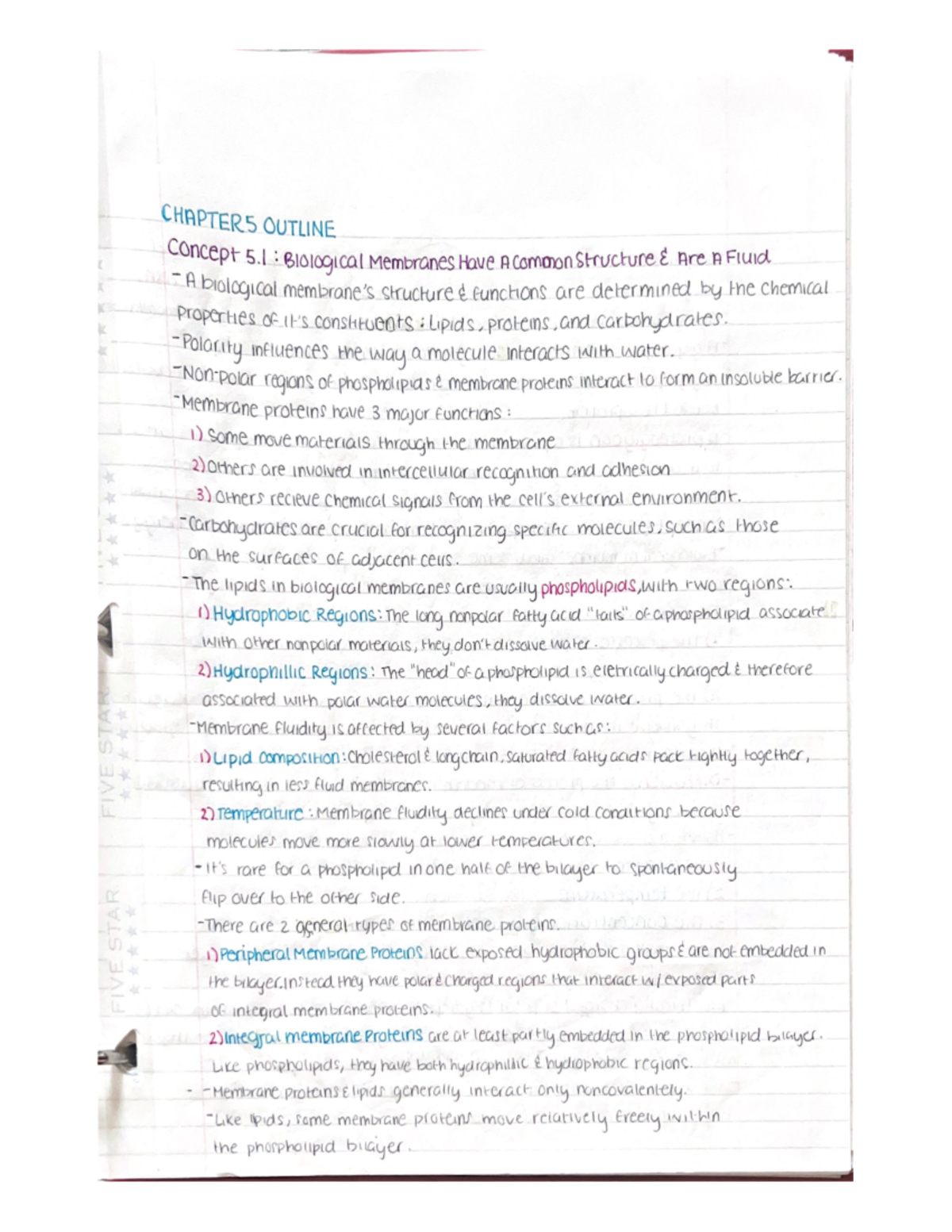 Ap bio ch5 notes - Studocu