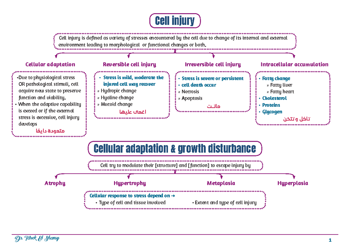 Cell injury - good - Cell injury Cellular adaptation & growth ...