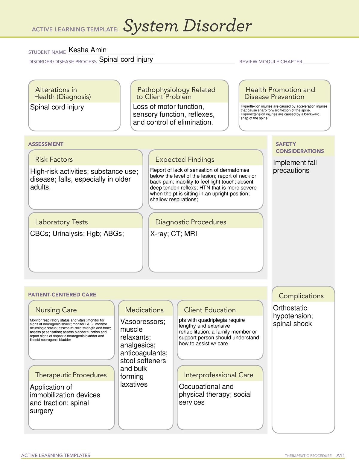 Active Learning Template spinal cord injury - ACTIVE LEARNING TEMPLATES ...