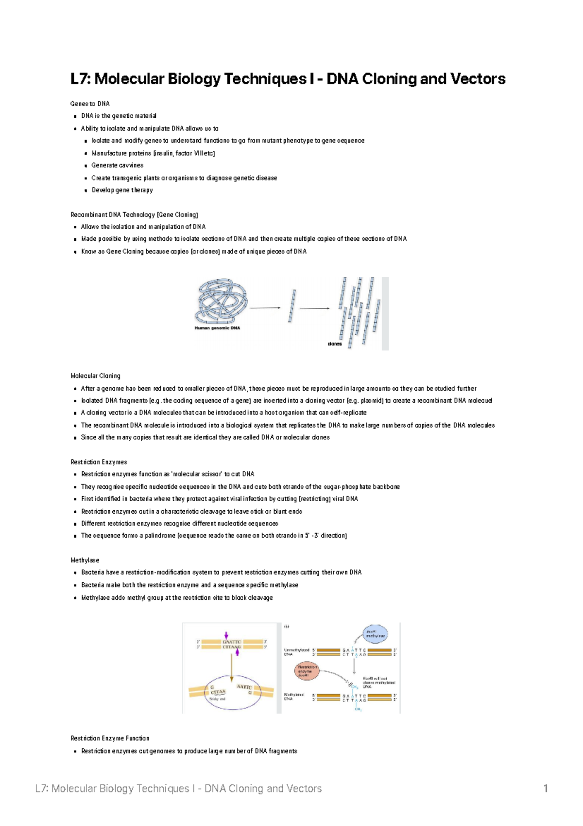 L7 Molecular Biology Techniques I - DNA Cloning and Vectors - the ...