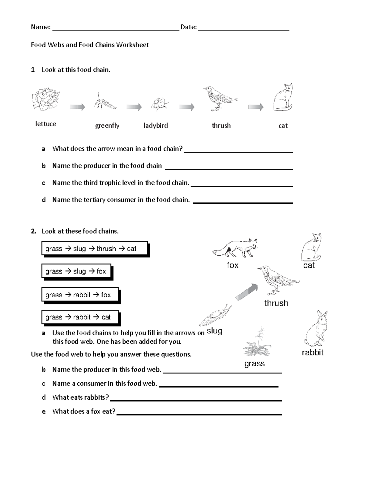 Food Websand Food Chains Worksheet-1 - Name ...