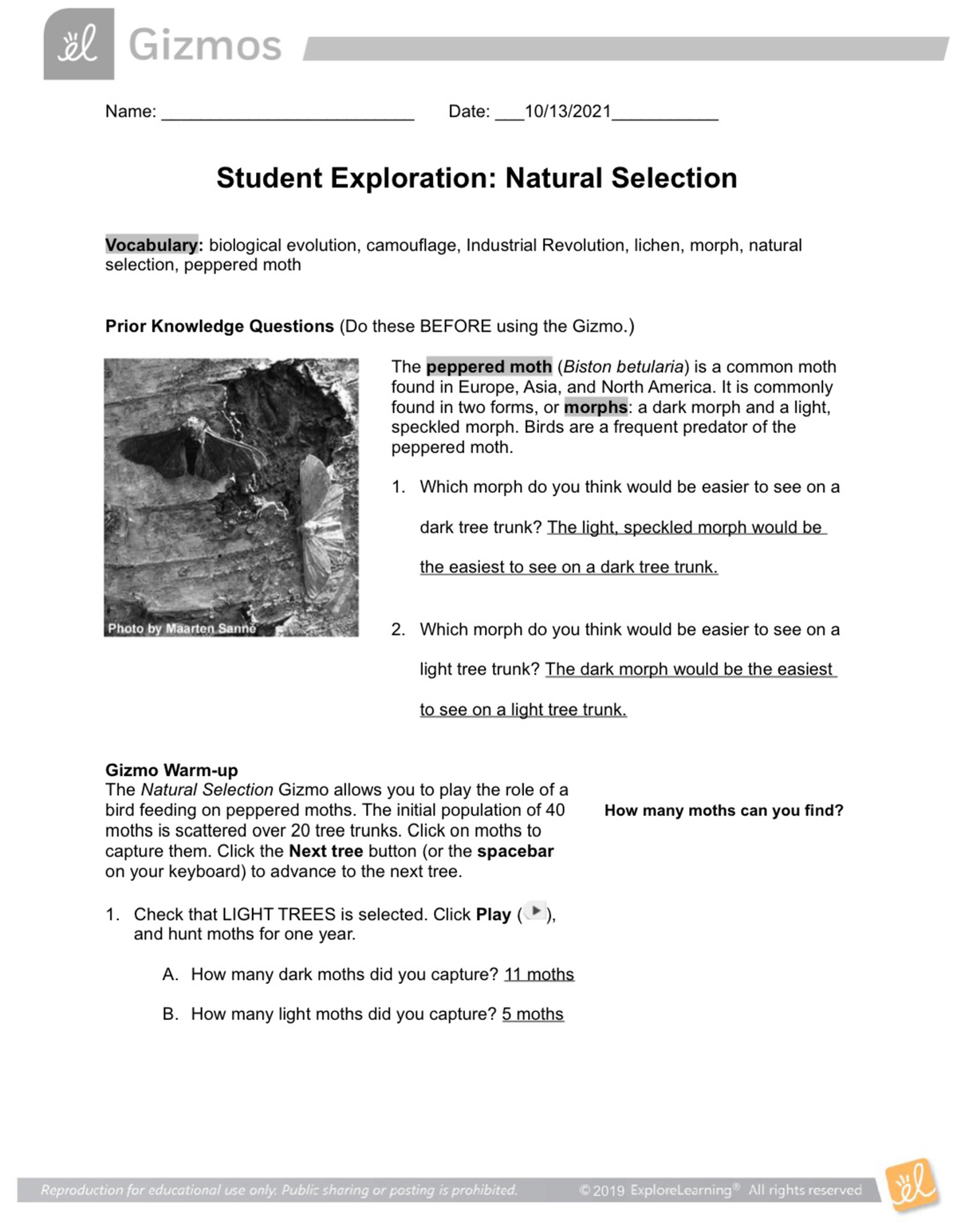 Ns pdf - Natural selection - BIO 385 - JMU - Studocu