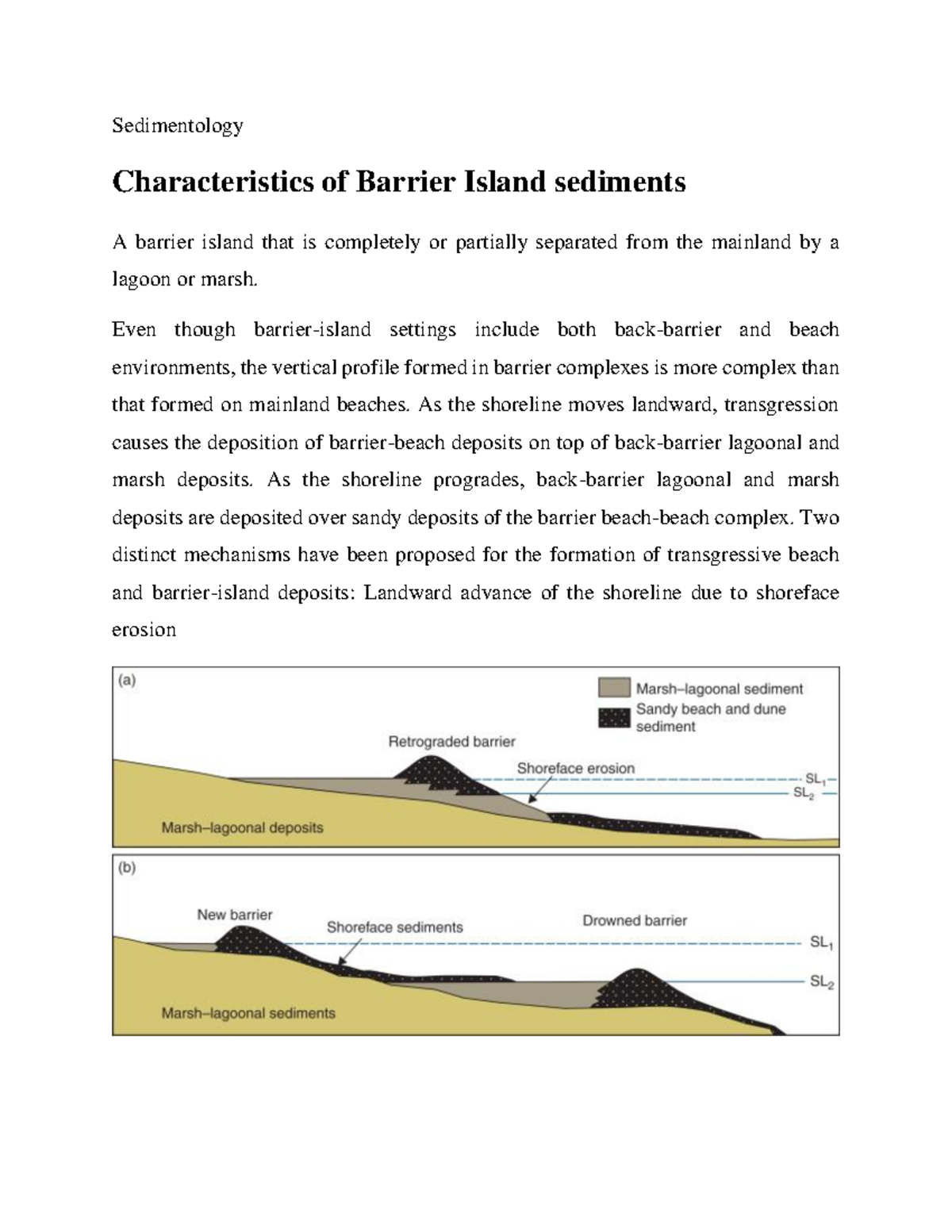 Characteristics of Barrier Island sediments Sedimentology