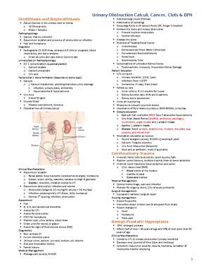 case study chapter 53 assessment of kidney and urinary function