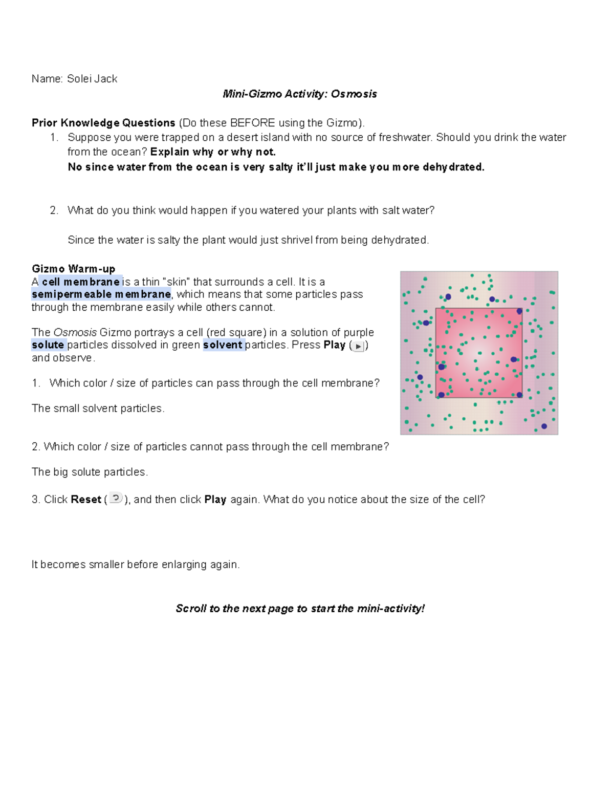 SJ Osmosis Activity Gizmo Name Solei Jack MiniGizmo Activity