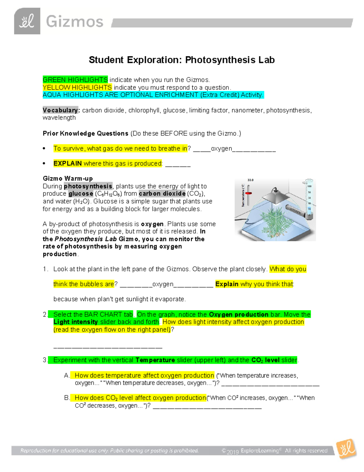Photosynthesis Lab Gizmo at Evelyn Saltsman blog