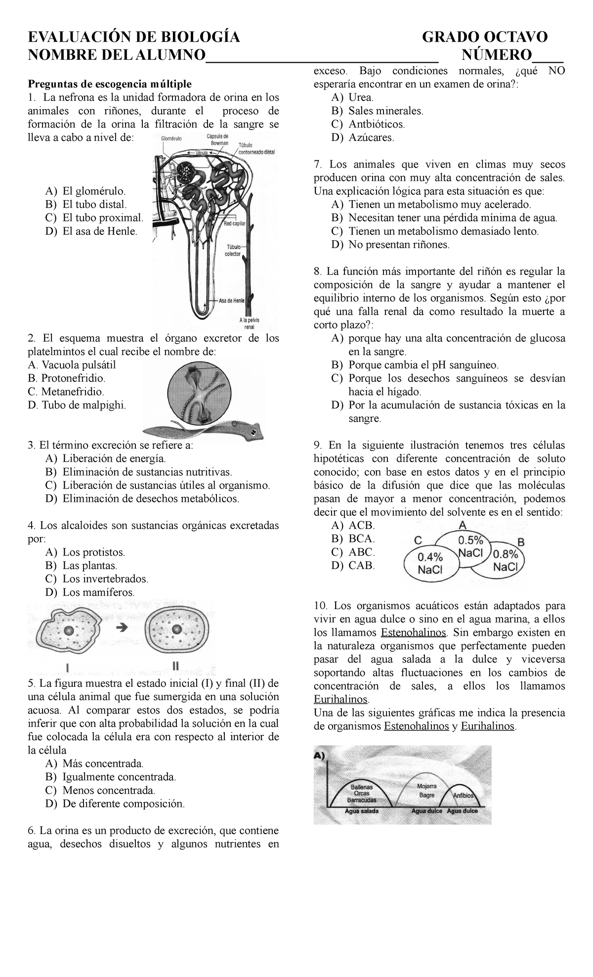 Excreción. 2008 - Notas - EVALUACIÓN DE BIOLOGÍA GRADO OCTAVO NOMBRE ...