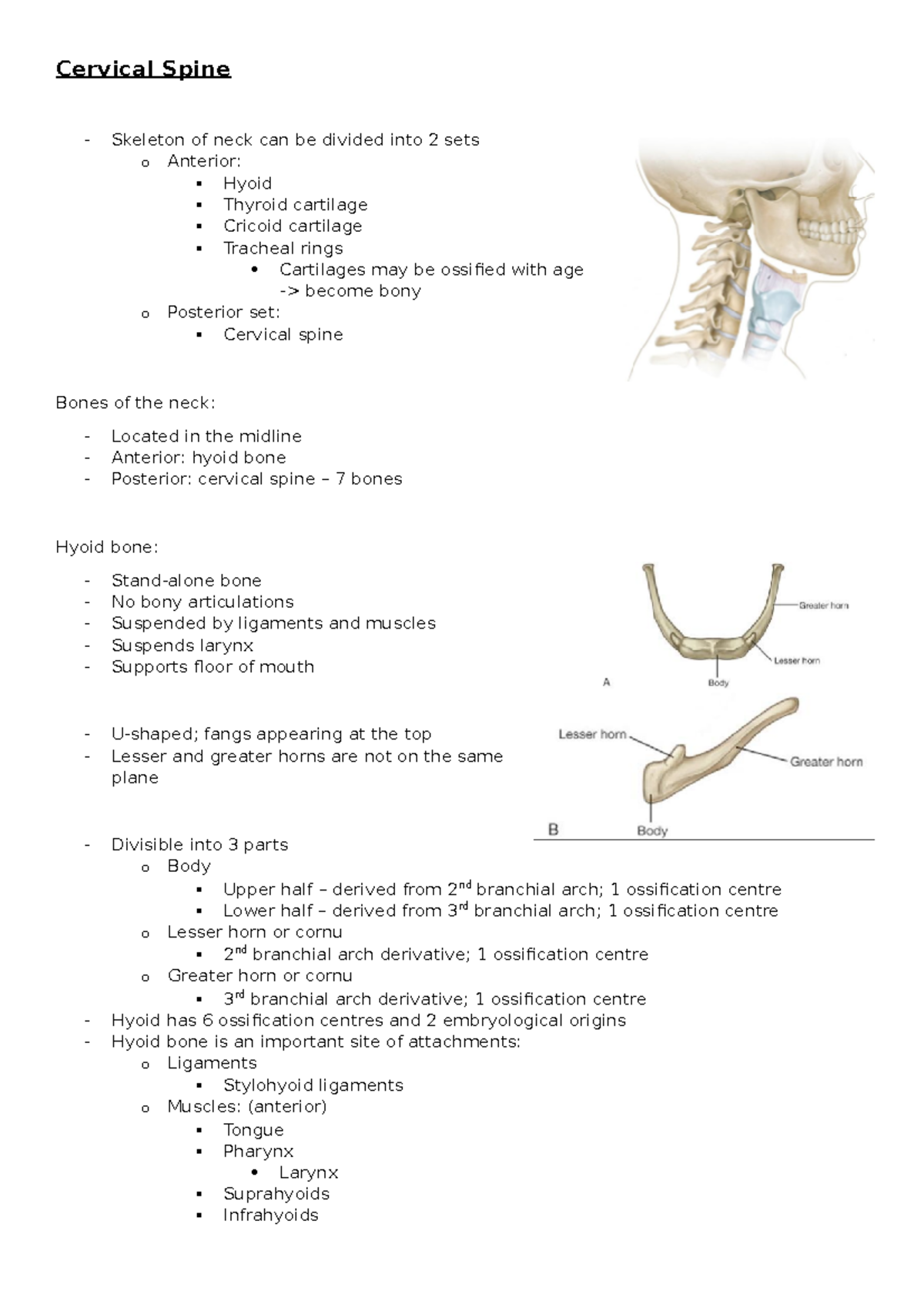 4) Cervical Spine - Anatomy of the head and neck - Cervical Spine ...