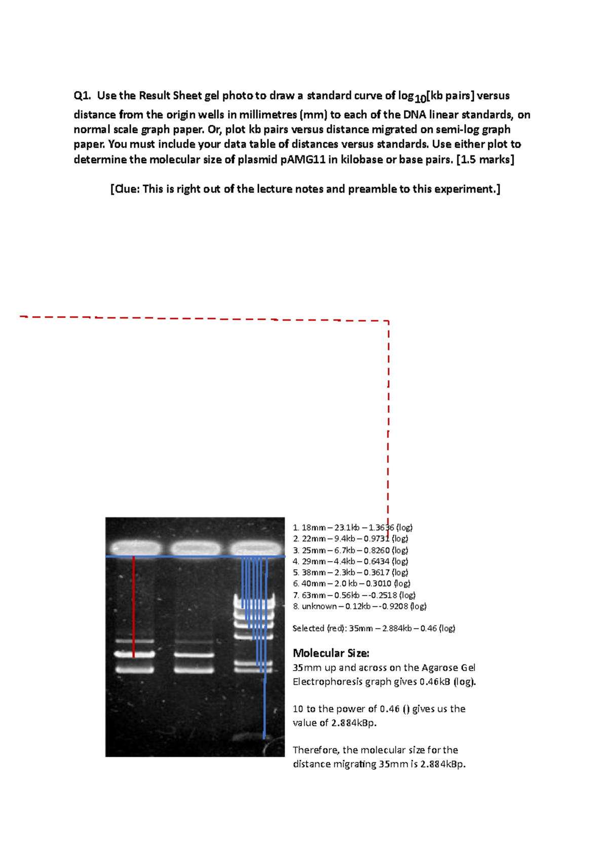 Experiment 1 molecular biology Q1. Use the Result Sheet gel photo to
