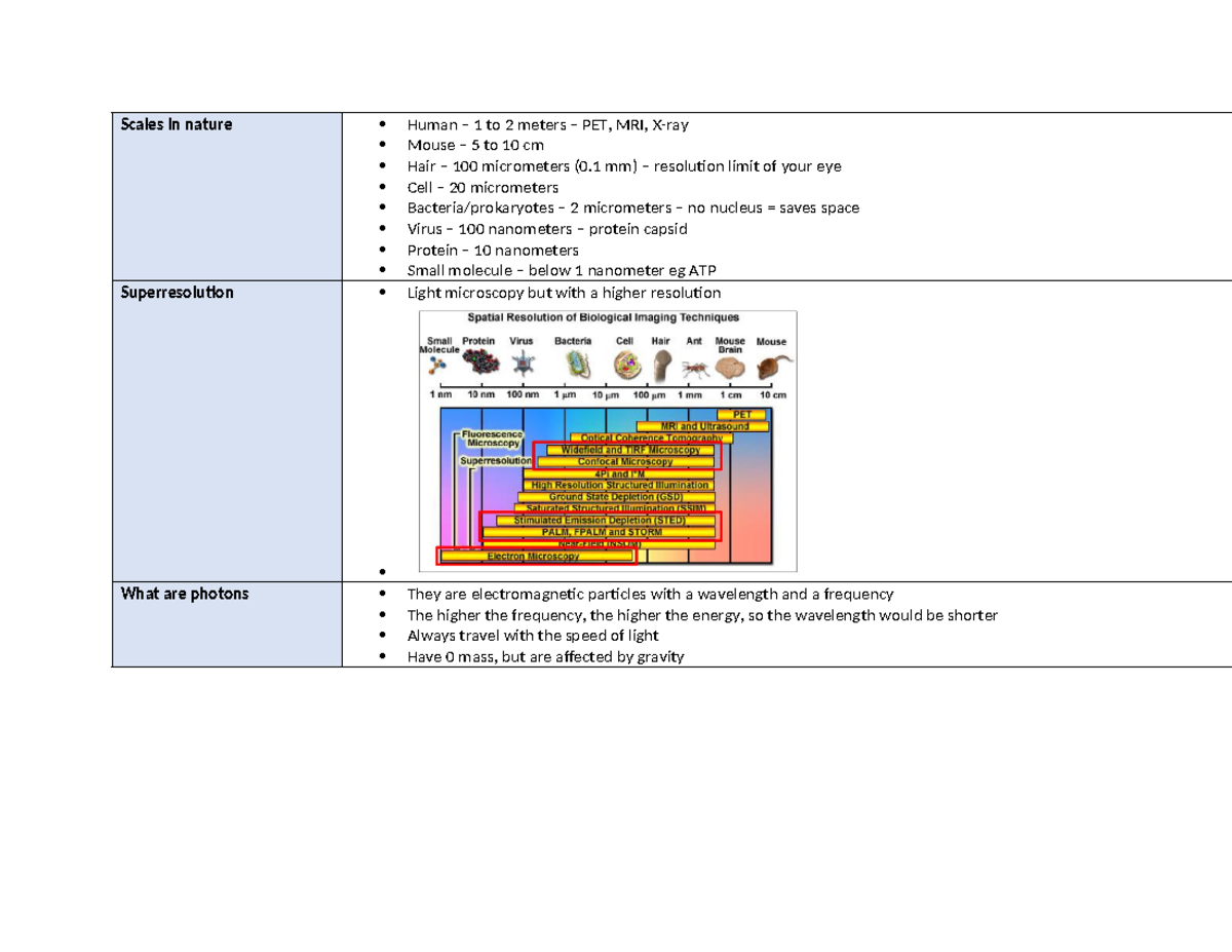 Lecture 1 - bioimaging summary - Scales in nature Human – 1 to 2 meters ...