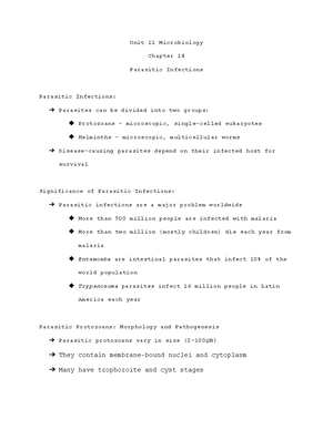 Chapter 5 Microbiology - Chapter 5 Microbiology Introduction To ...