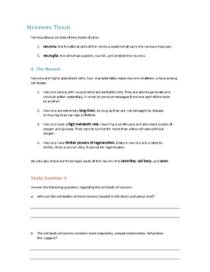 1 Shitty First Drafts Insights From Anne Lamott S Bird By Bird 1