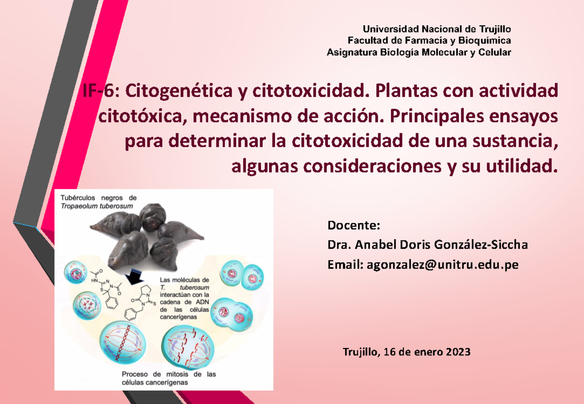 IF-6 Citogenética Y Citotoxicidad - Plantas Con Actividad Citotóxica ...