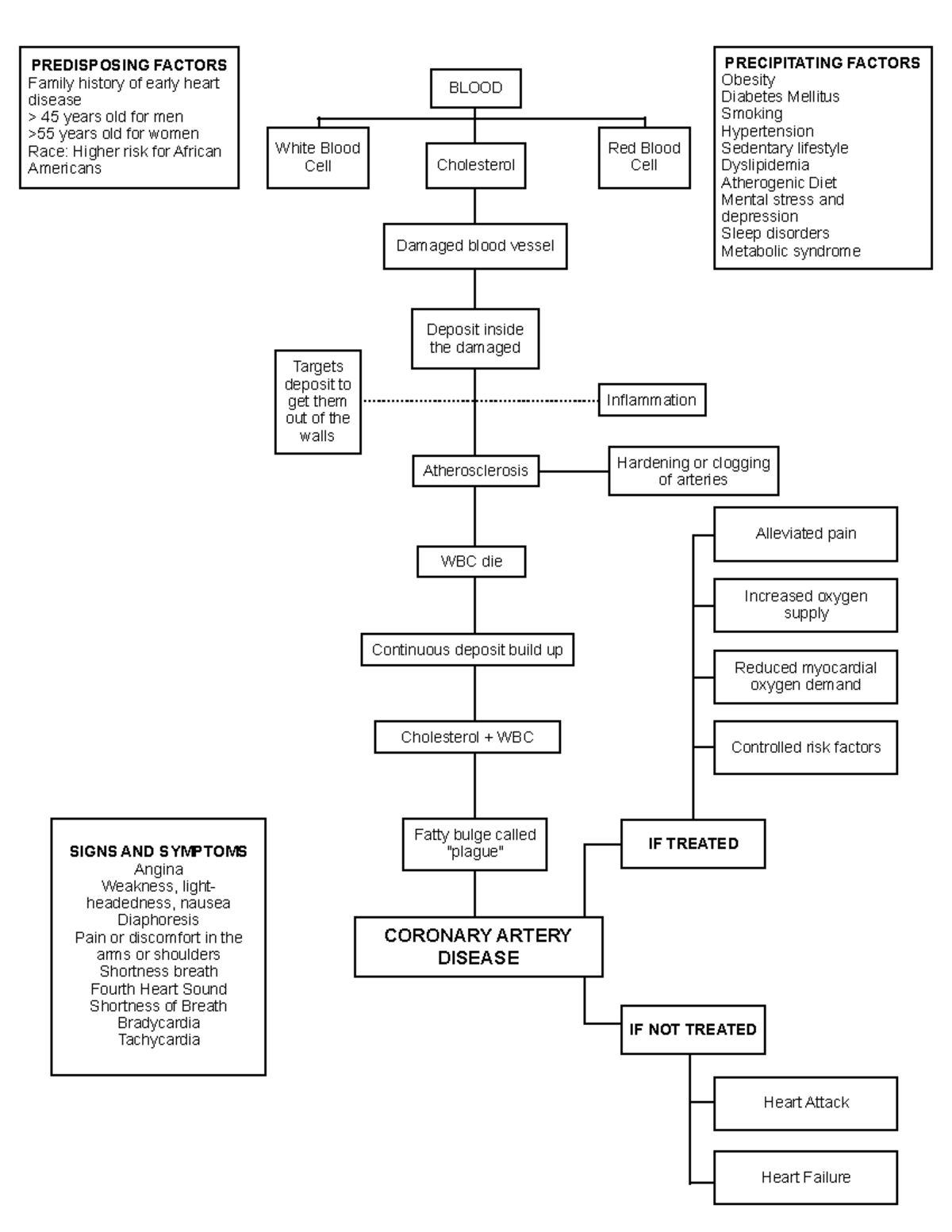 CAD Pathophysiology - Coronary Artery Disease - Reduced myocardial ...