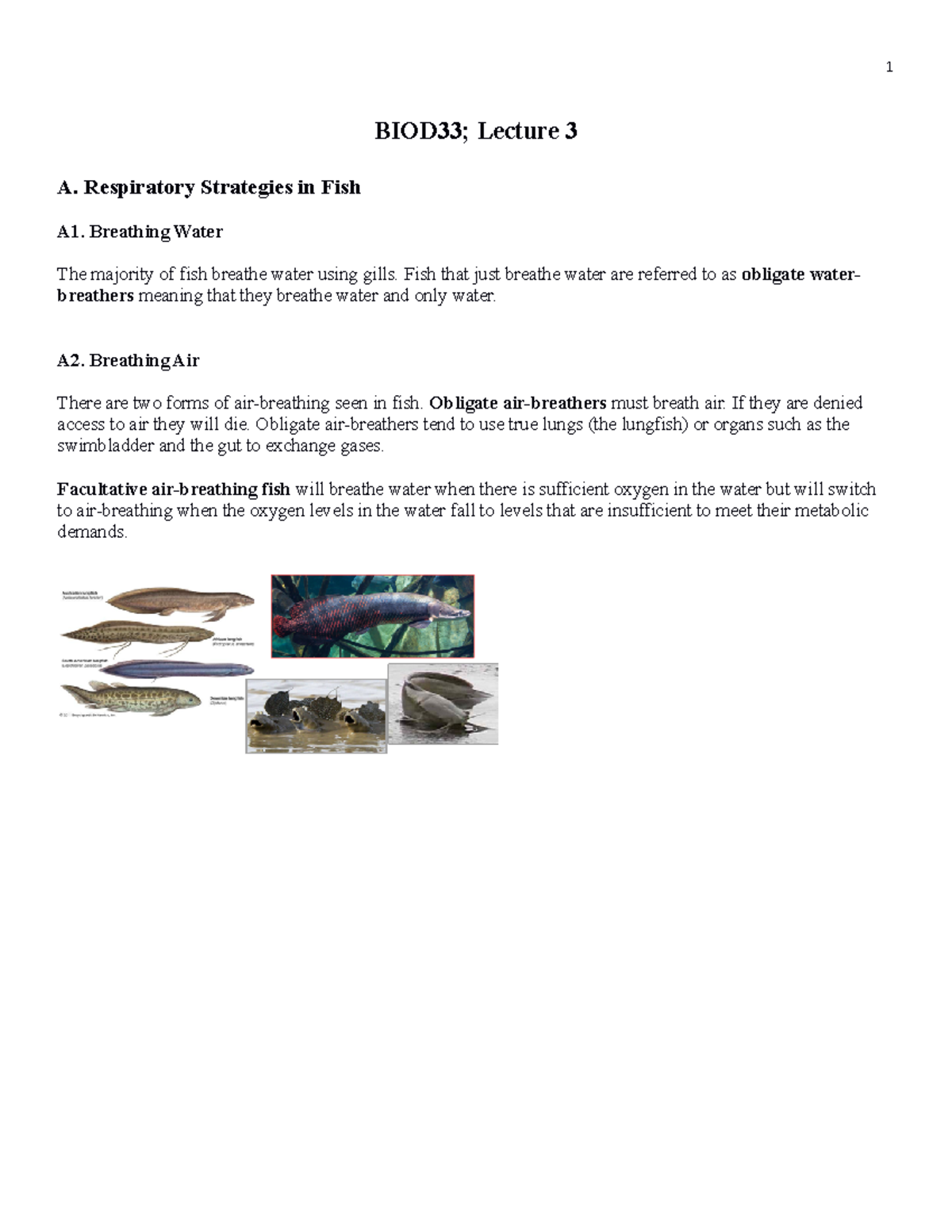 Lecture 3 Notes Fall 2023 - BIOD33; Lecture 3 A. Respiratory Strategies ...