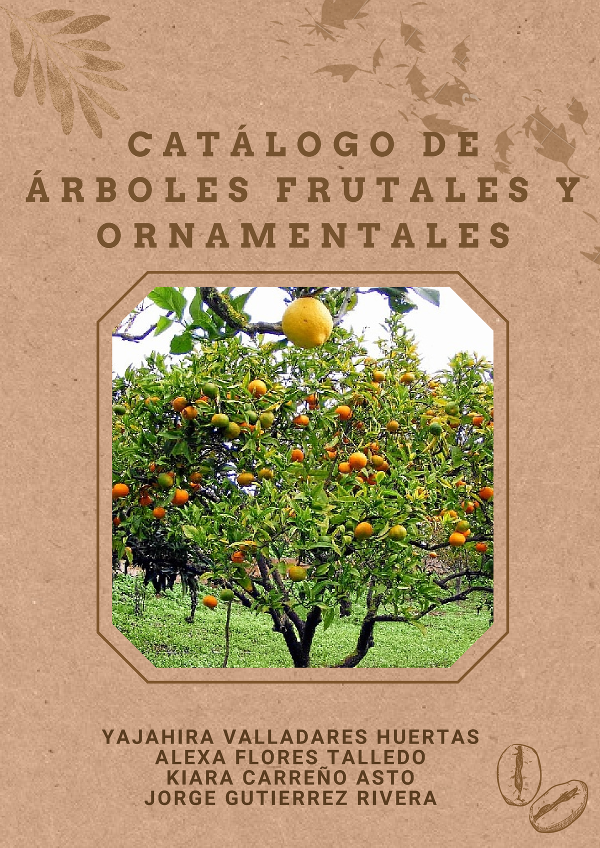 Catalogo DE Arboles Frutales Y Ornamentales -INTRO - C A T Á L O G O D E Á  R B O L E S F R U T A L E - Studocu