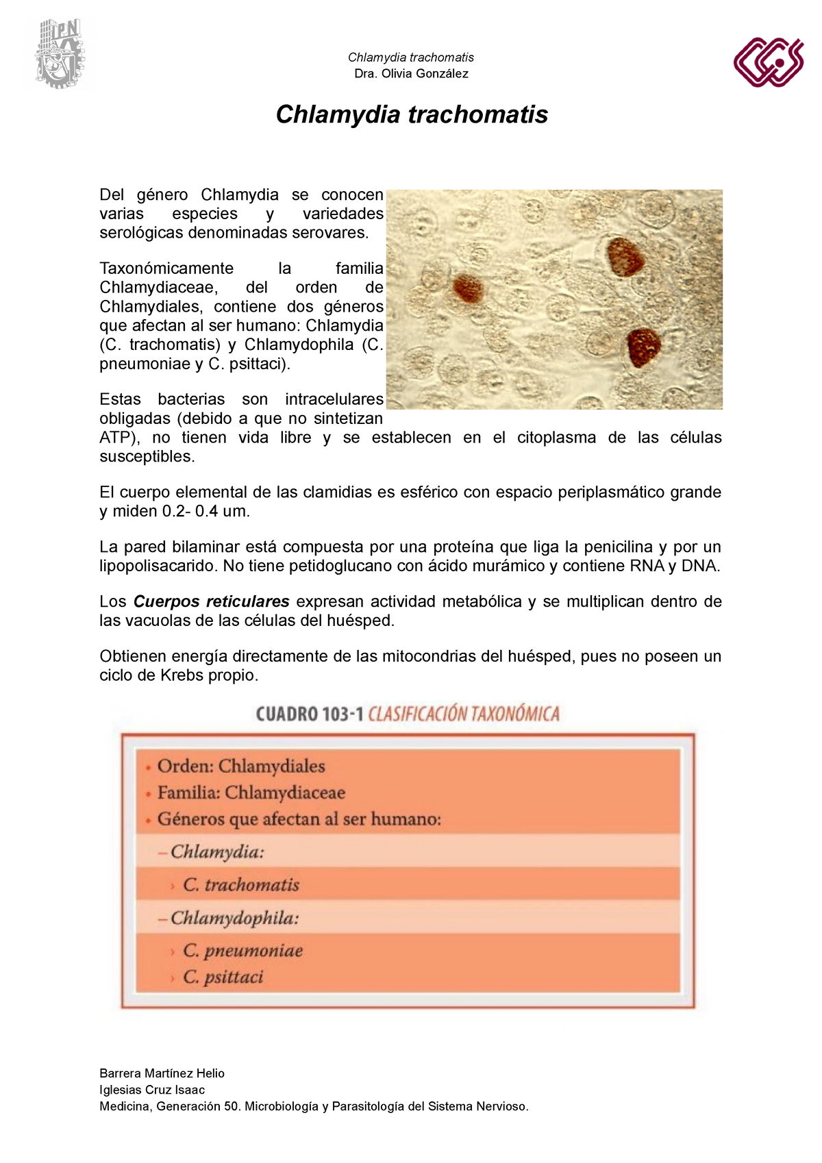 Eq 8 Chlamydia Trachomatis Dra Olivia González Chlamydia Trachomatis Del Género Chlamydia 3566