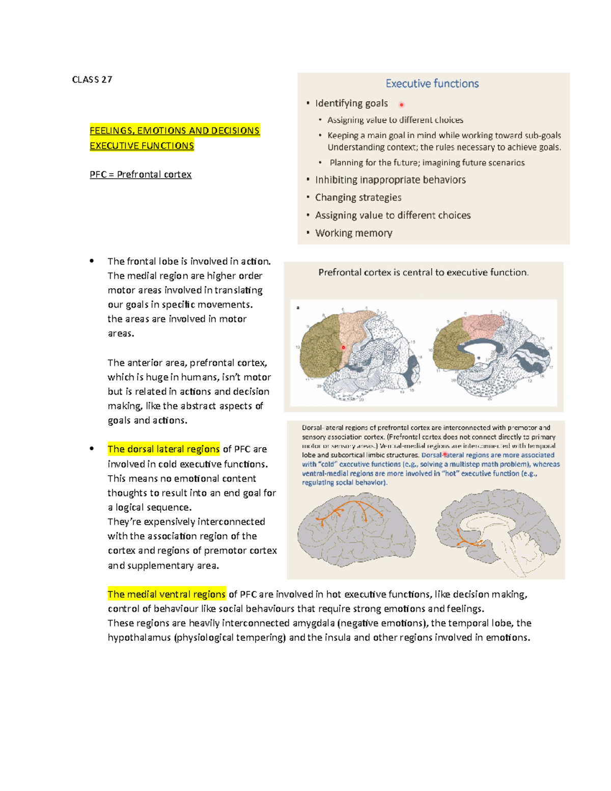 Class 27 - Executive function, working memory and cognitive control ...