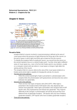 Brain anatomy diagram - Psyc 211 - Studocu