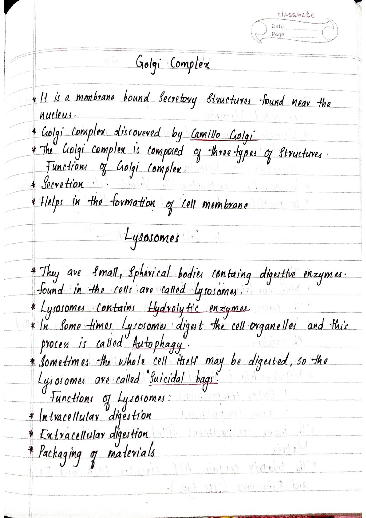 mitochondria assignment pdf bsc 1st year