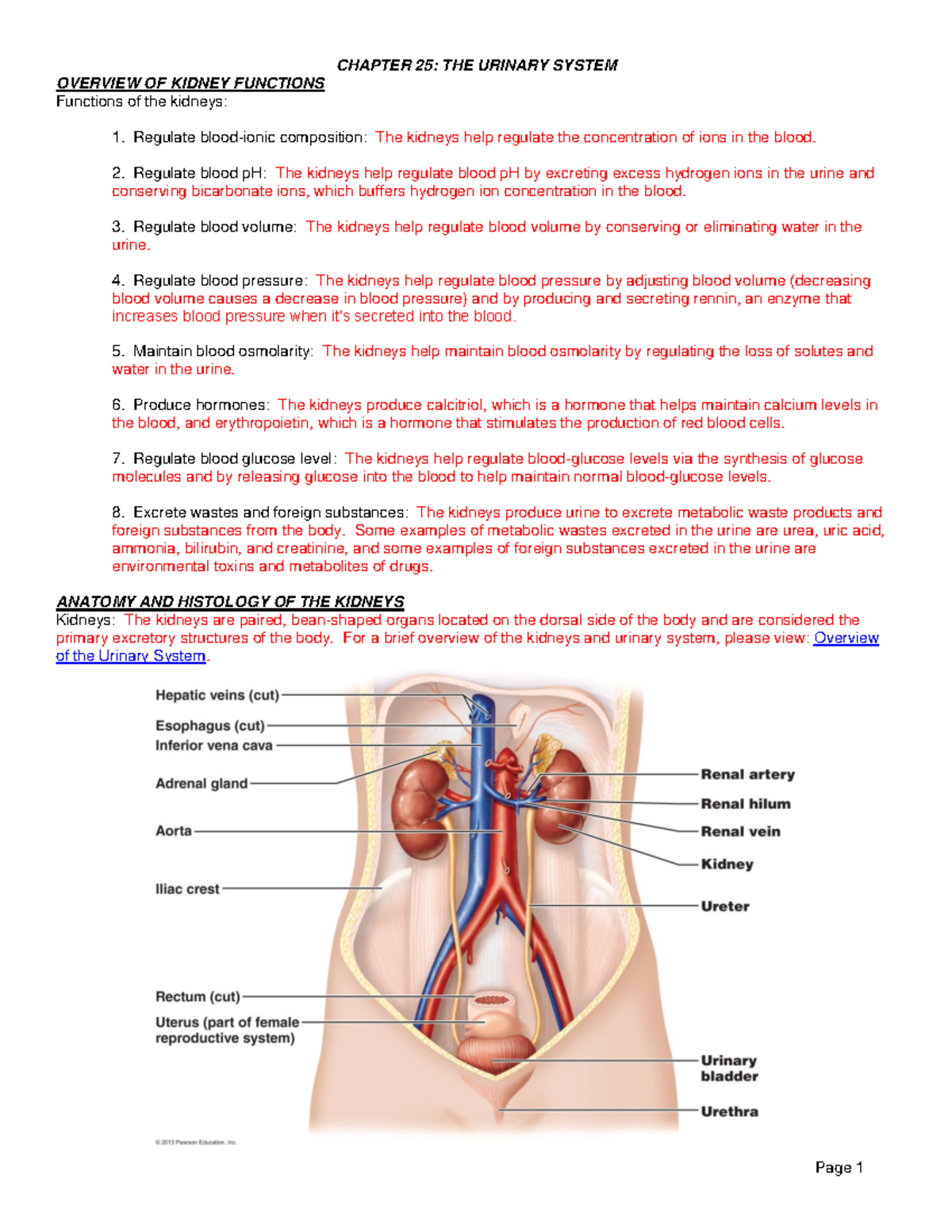 Ch. 25 Lecture Outline - OVERVIEW OF KIDNEY FUNCTIONS Functions of the ...