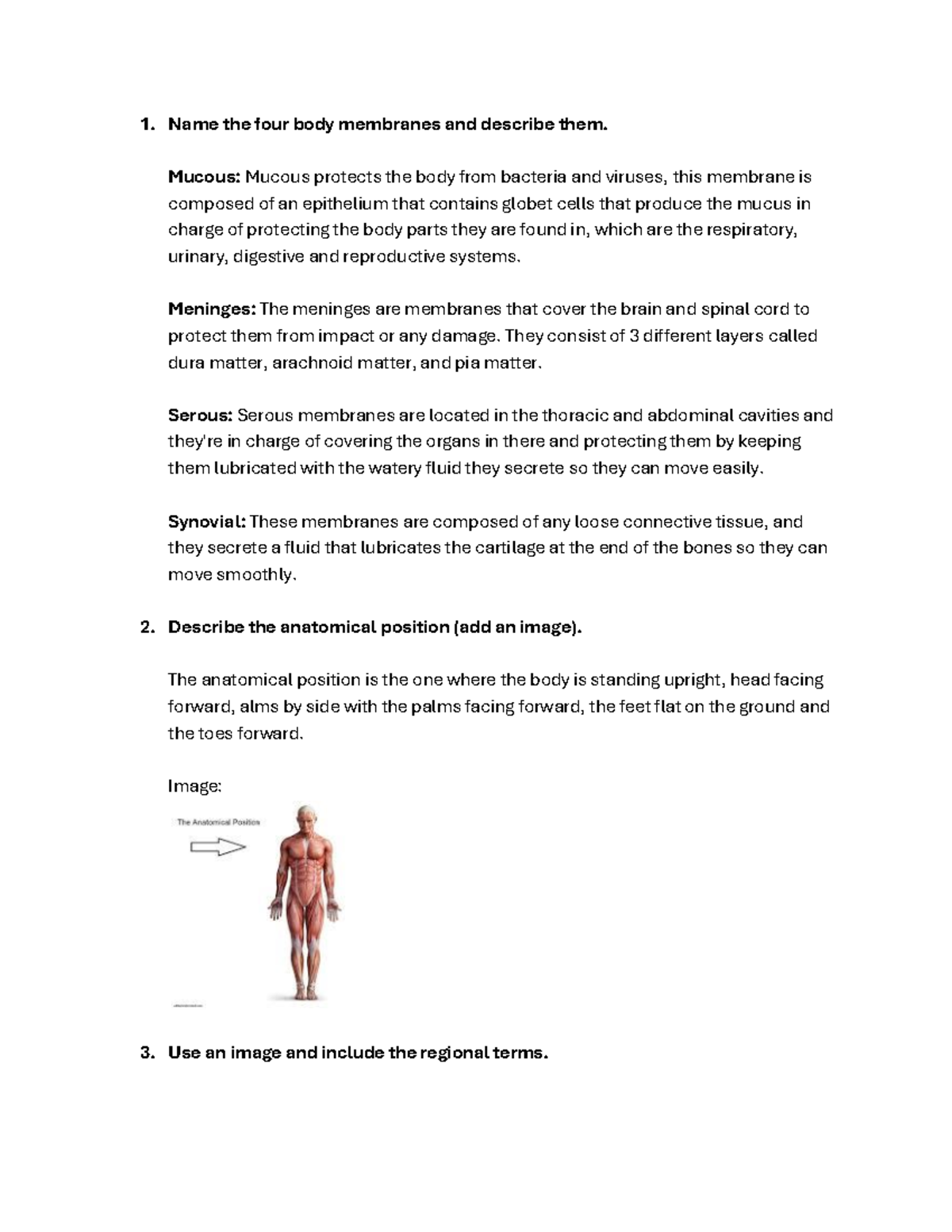 Quiz 1 Human body care - Name the four body membranes and describe them ...