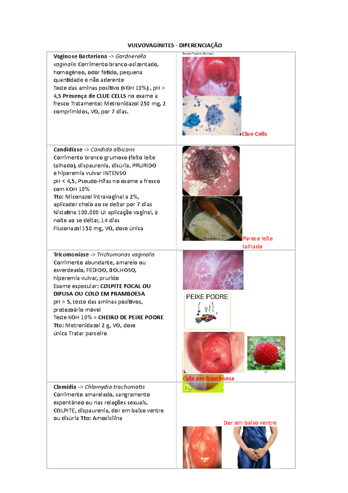 Vulvovaginites - Diferenciação - VULVOVAGINITES - DIFERENCIAÇÃO ...