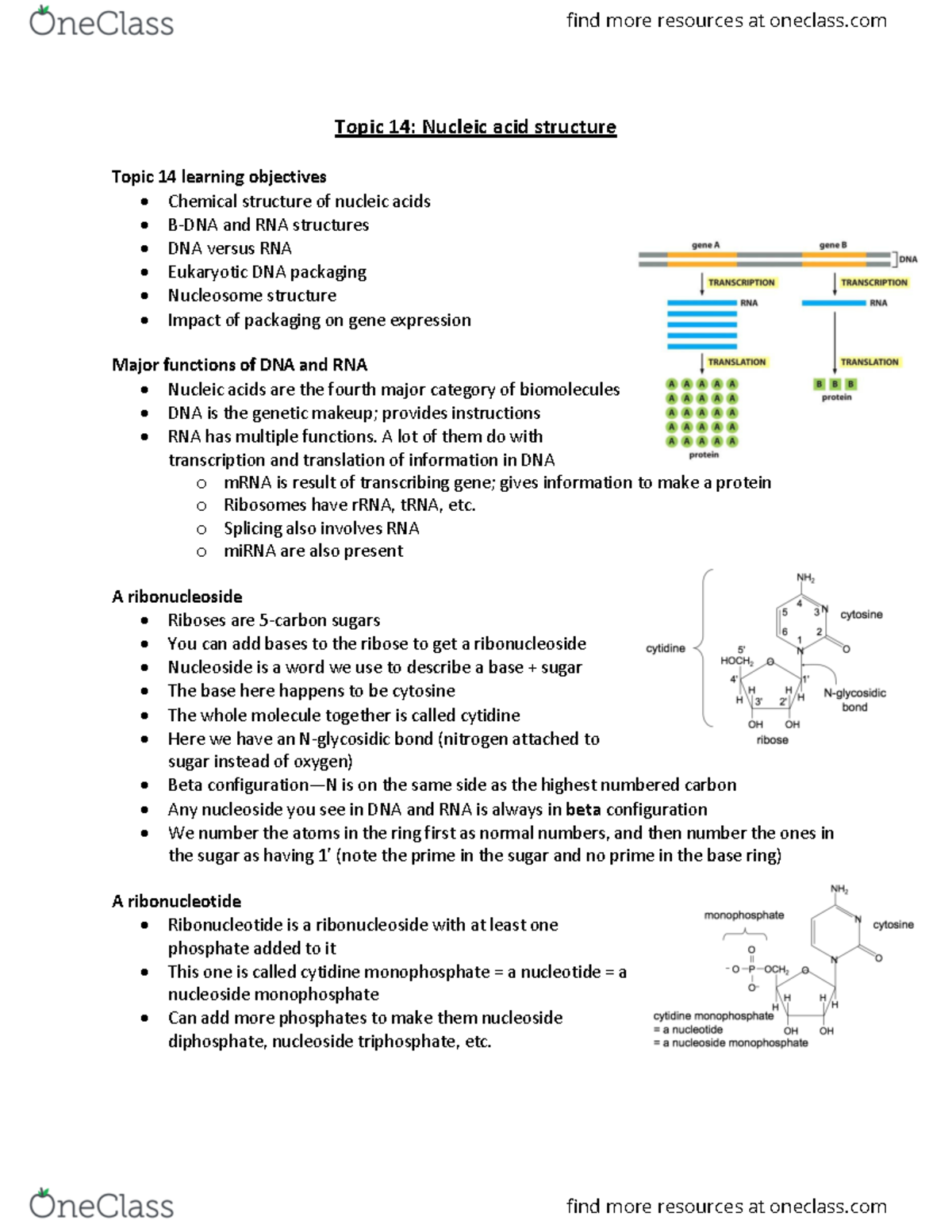 Biochem final study guidd 22 Topic 14 Nucleic acid structure Topic