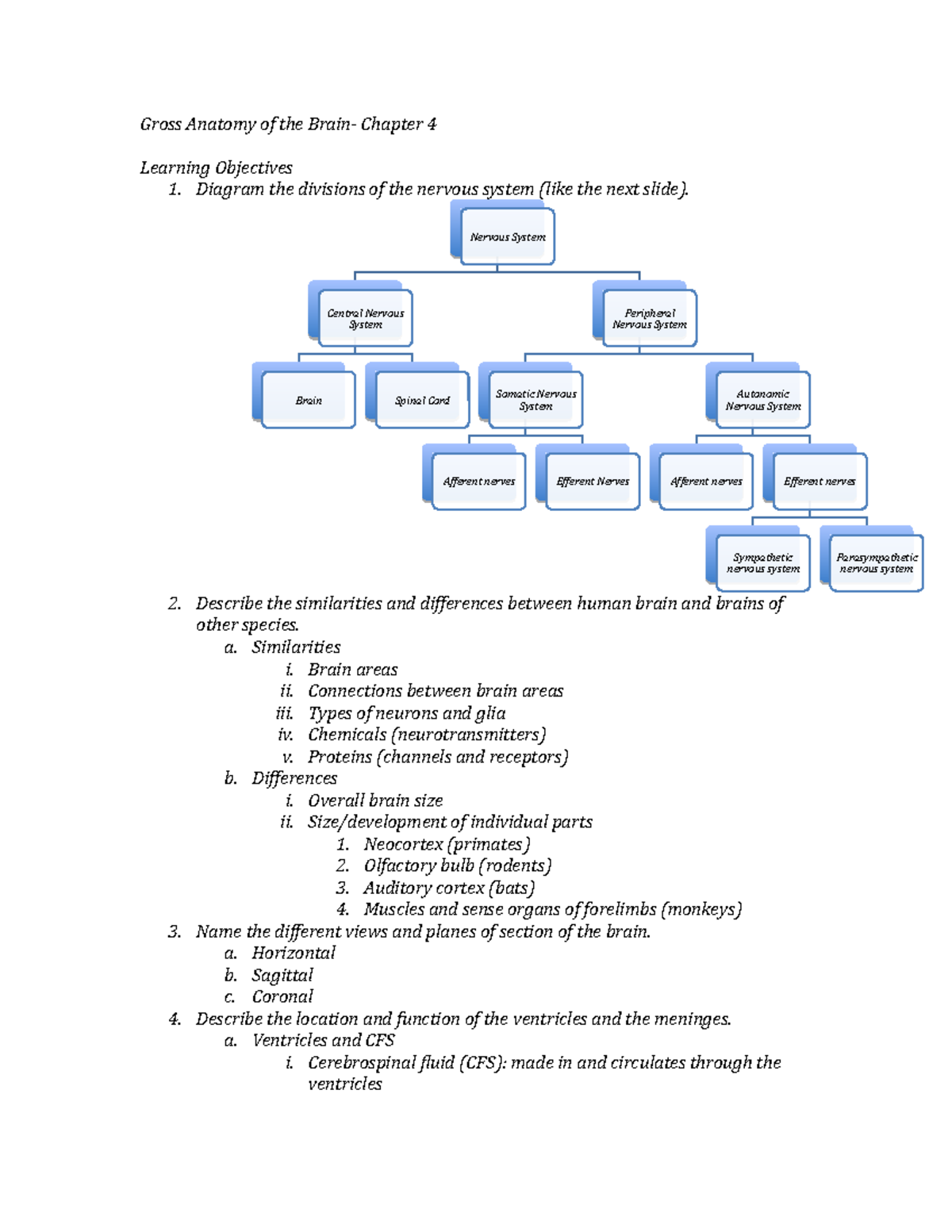 Gross Anatomy of the Brain Chapter 4 - Diagram the divisions of the ...