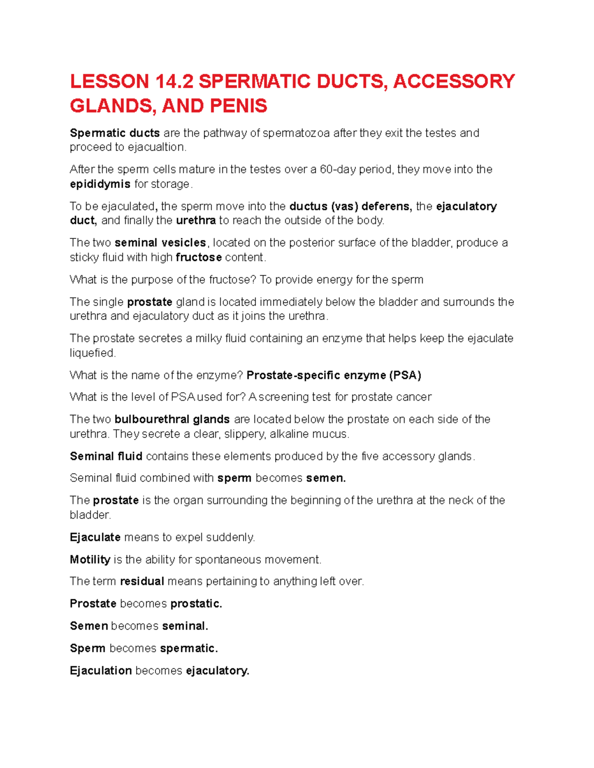 Lesson 14.2 Spermatic Ducts, Accessory Glands, AND Penis LESSON 14