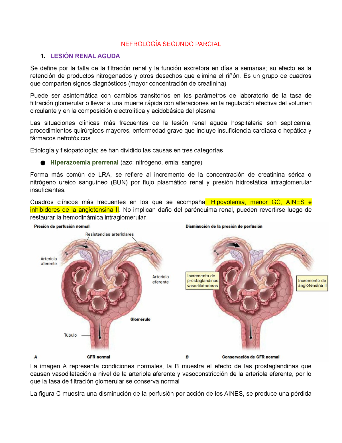 Lesión Renal Aguda - Nuen - NEFROLOGÍA SEGUNDO PARCIAL 1. LESIÓN RENAL ...