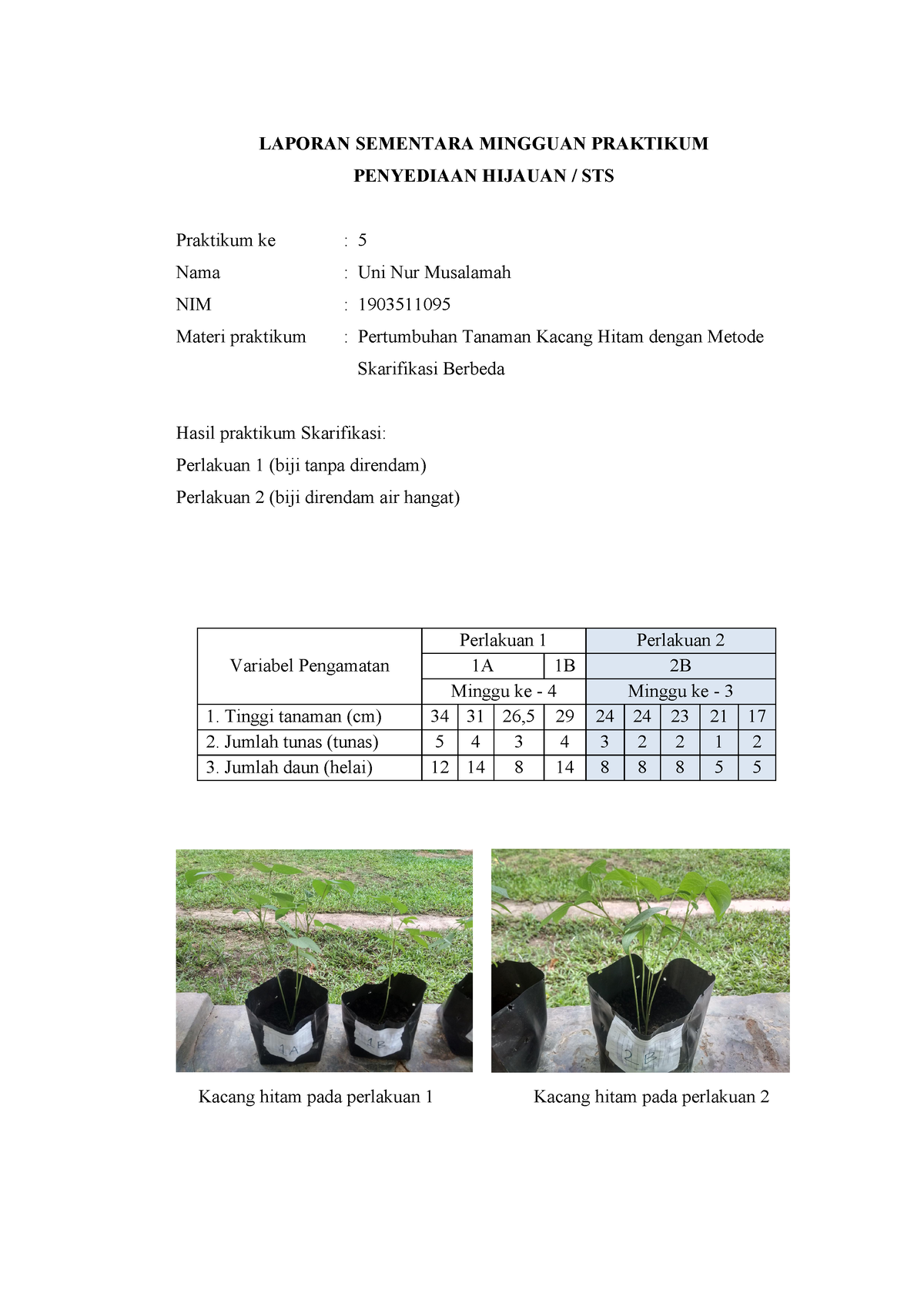 1903511095 Uni Nur Musalamah Kelas B Laporan Praktikum Sementara Minggu ...