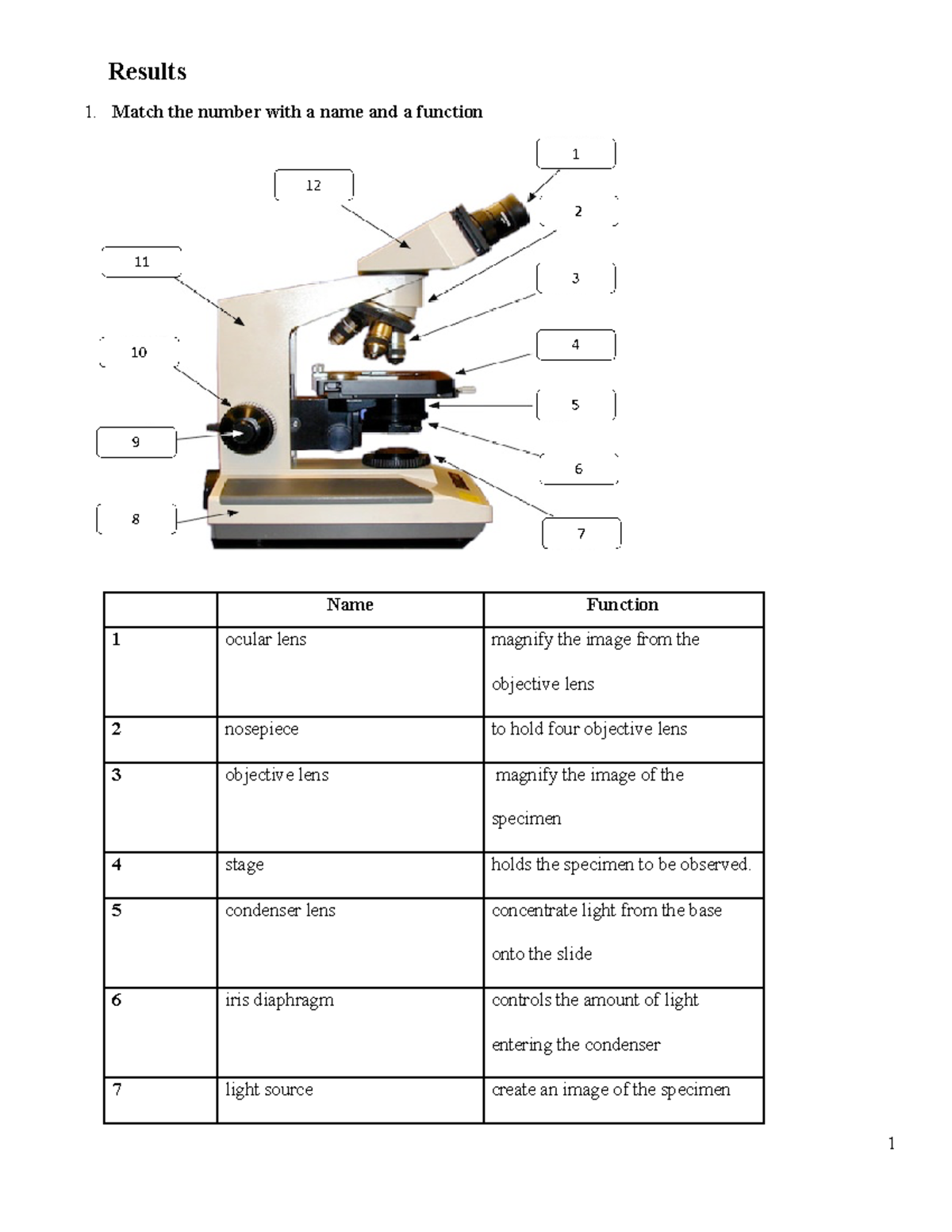 Microscope analysis - Assignment for microbiology - Results Match the ...