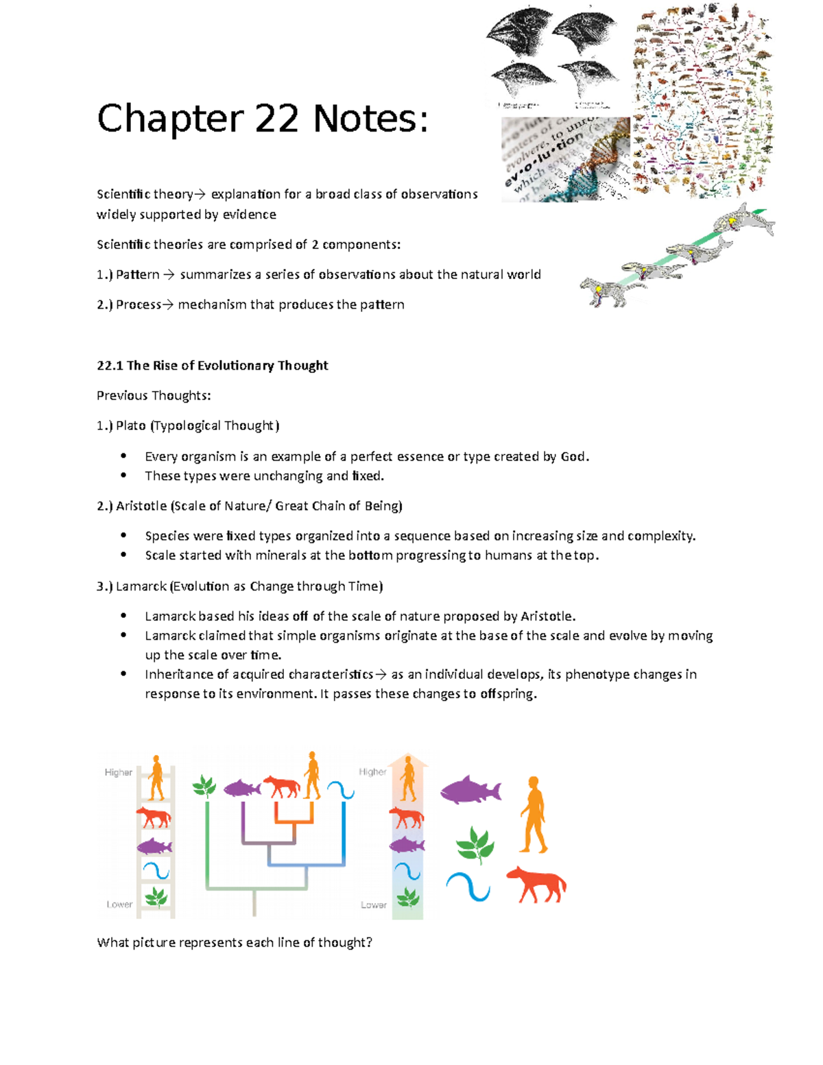 Chapter 22 Notes Evolution - Chapter 22 Notes: Scientific theory→ ...