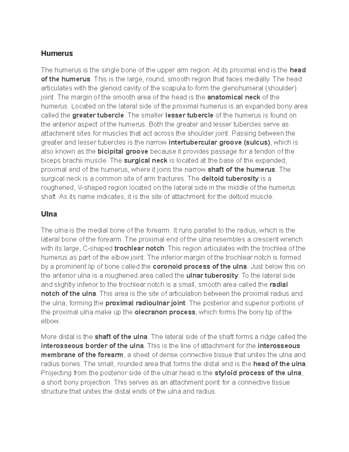 Biology Notes 1 - All about bones - Humerus The humerus is the single ...