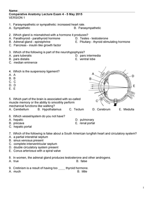 Comparative Anatomy Worksheet Answers - Anatomy Drawing Diagram