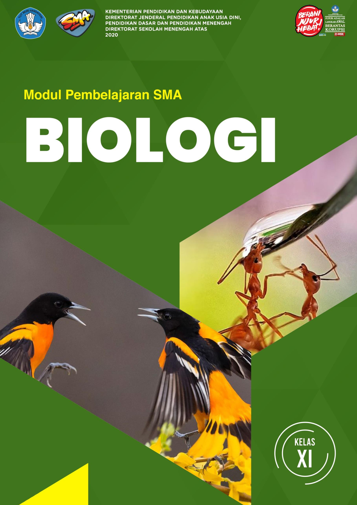 XI Biologi Sel - SMA Kelas XI Materi Sel - STRUKTUR DAN FUNGSI SEL ...