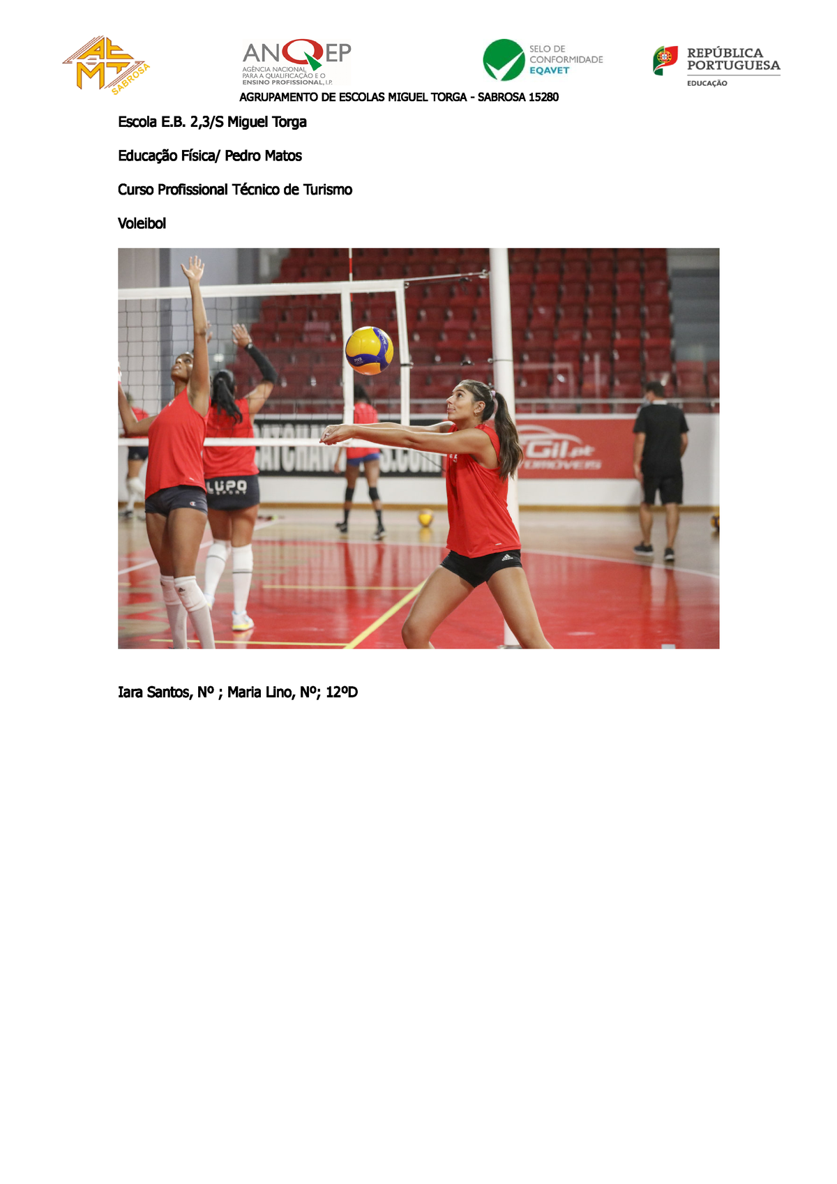 Cad Ensino Medio Educacao Fisica, PDF, Voleibol