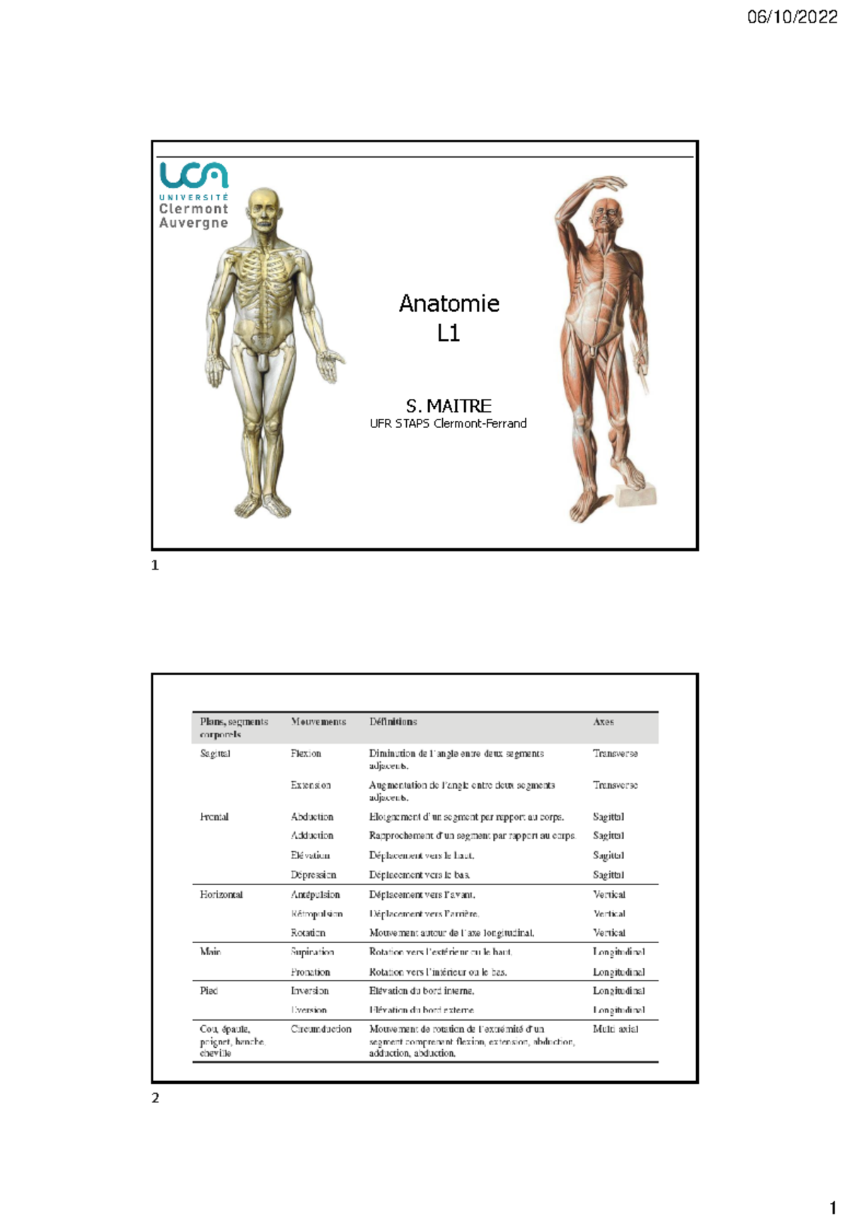 Schemas L1 - Cours Staps 2021 - Anatomie L S. MAITRE UFR STAPS Clermont ...